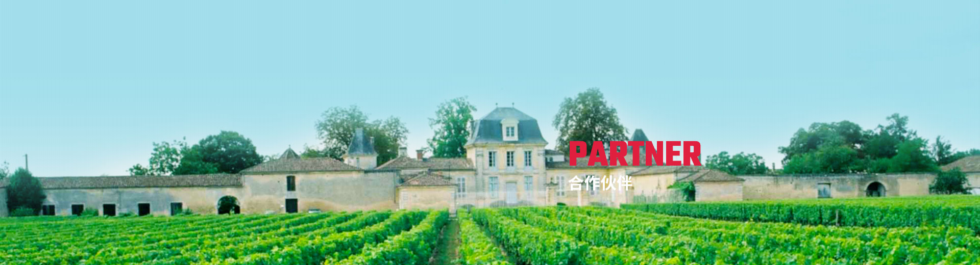 經(jīng)銷(xiāo)網(wǎng)絡(luò )